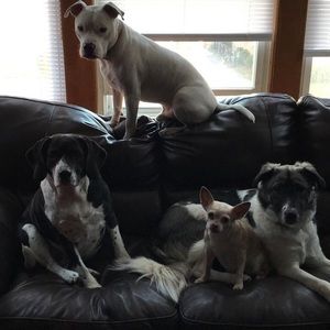 Meet your Posher, Cathy